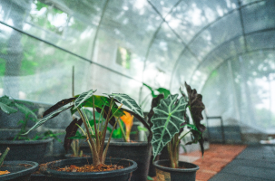 tukang taman, tukang taman terdekat, jasa taman, jasa tukang taman, tukang taman minimalis, pembuat taman, jasa taman terdekat, tukang taman vertikal, tukang taman murah, jasa taman murah, jasa tukang taman terdekat, jasa taman minimalis, harga jasa tukang taman, tukang taman hias, tukang taman profesional