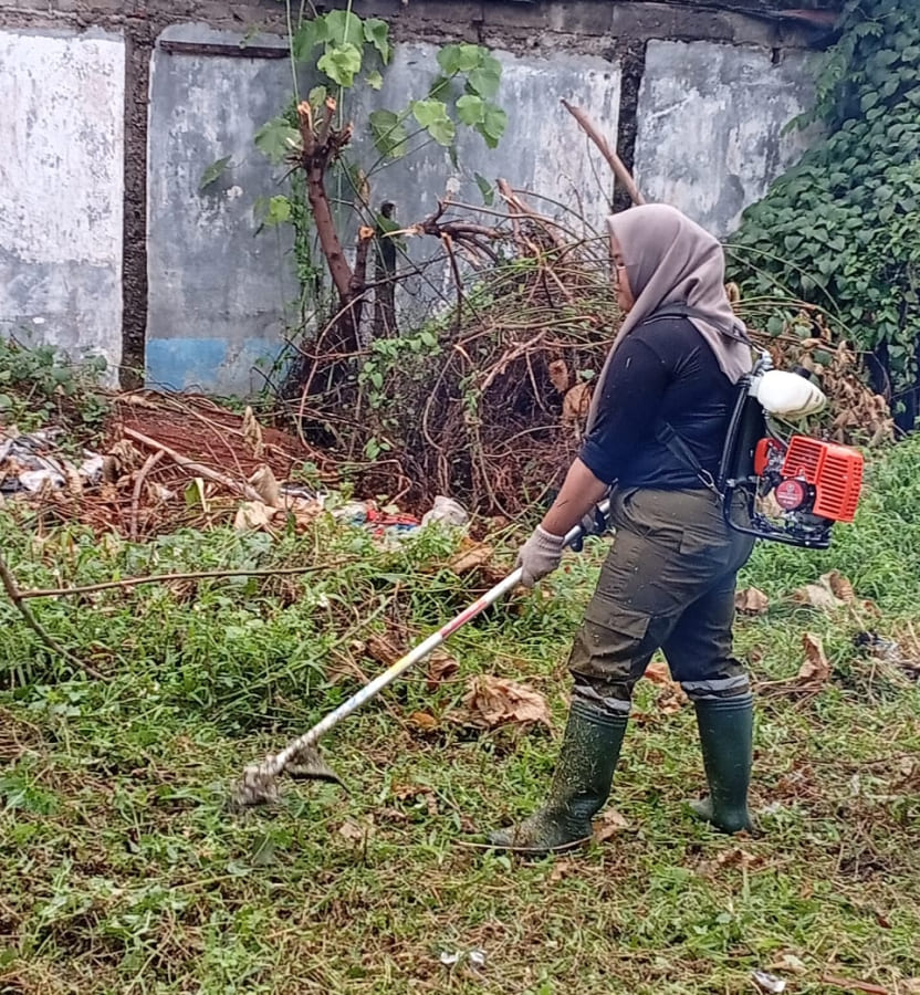 Pangkas Semak & Rumput